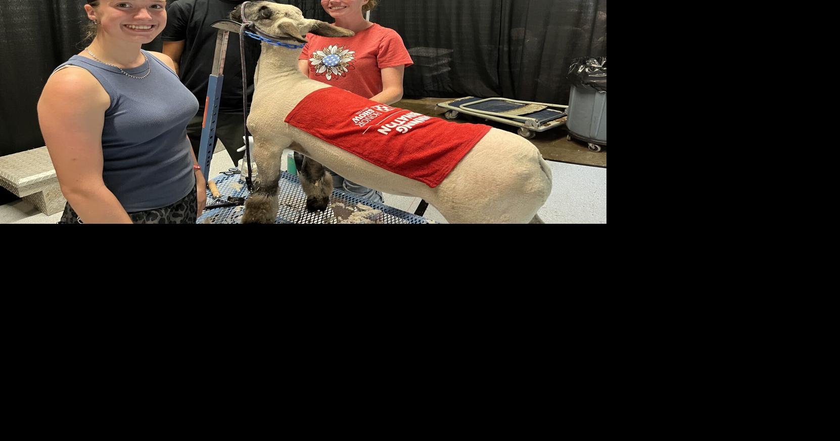 Inaugural Raleigh County Fair helps prep youth to compete at W.Va. State Fair