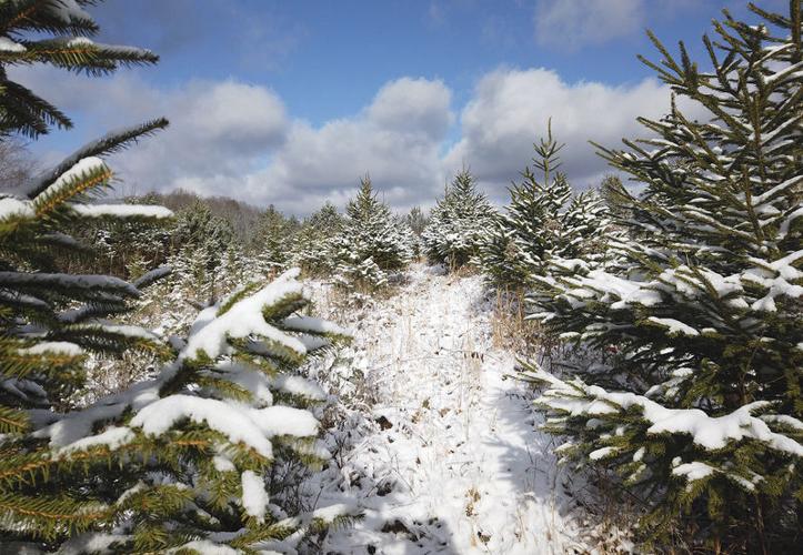 Something to carry on (WITH VIDEO) | State & Region ...