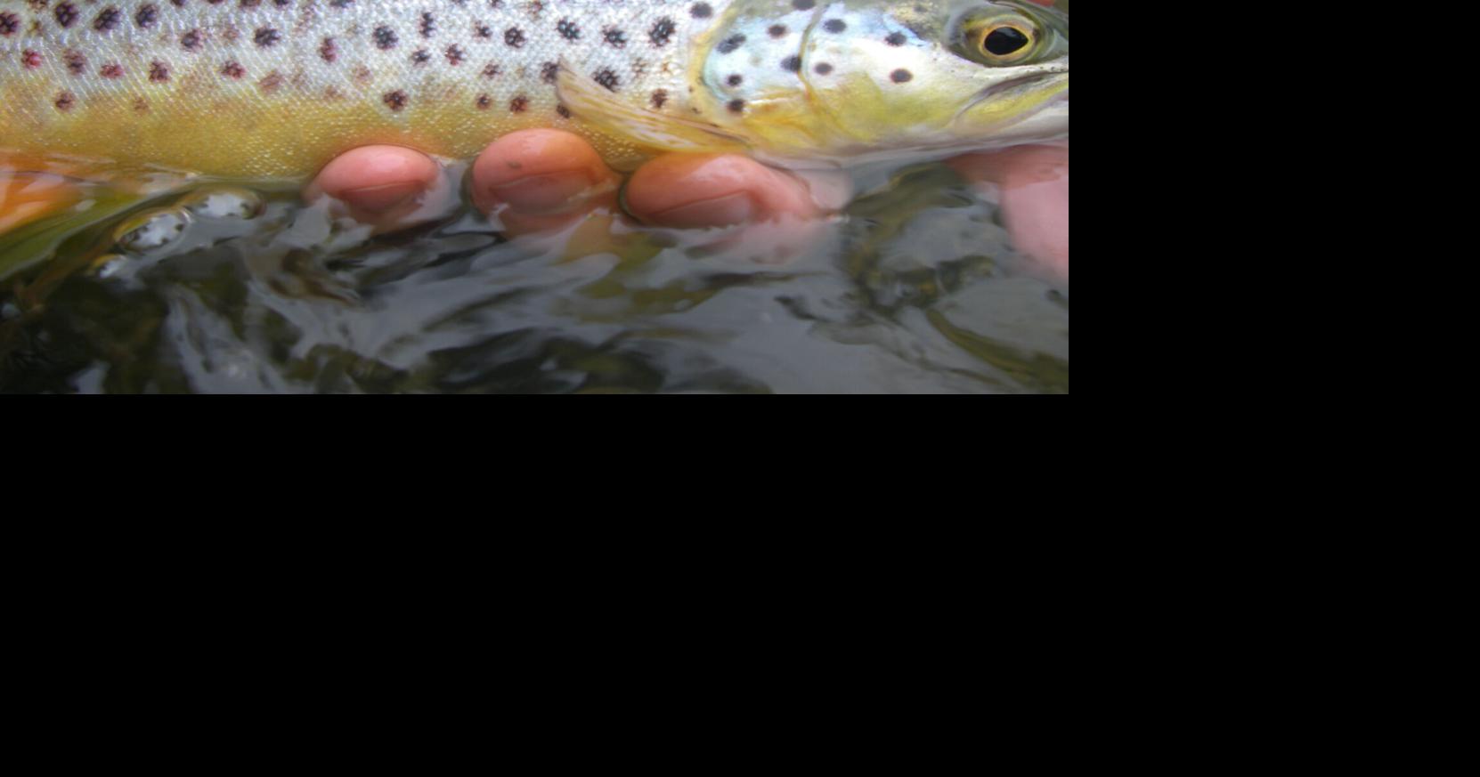 Son's return is a good reason to fish
