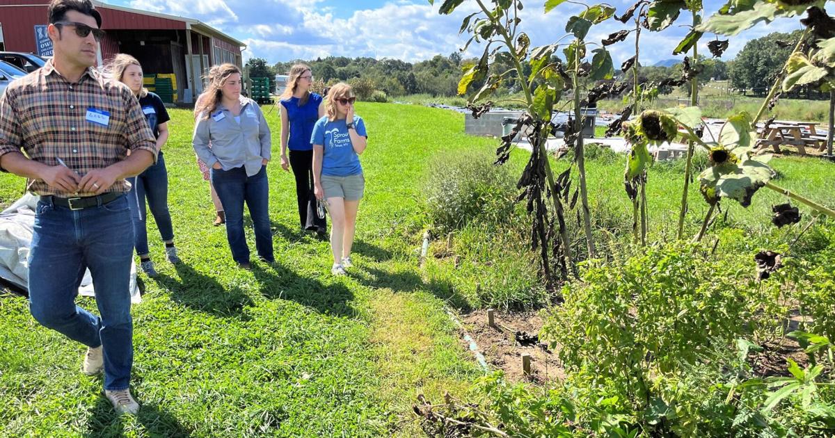 New Roots Farm Market up and running | News | register-herald.com