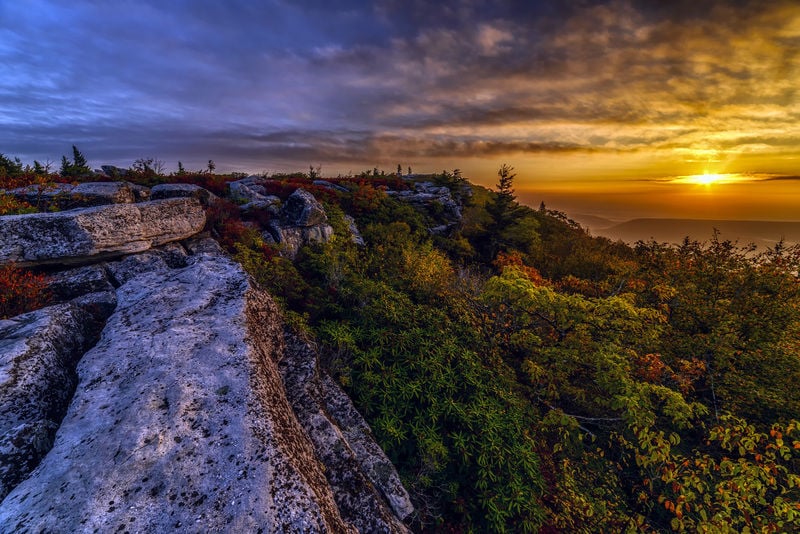 Capturing the Scene Photographer Thomas Fletcher is surrounded by ...