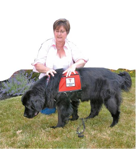 can you have a service dog for rheumatoid arthritis