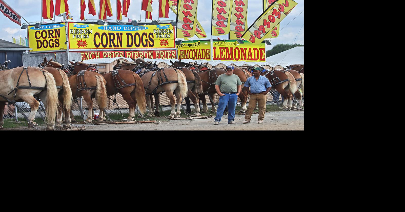 GALLERY: 98th State Fair of WV | Gallery | register-herald.com