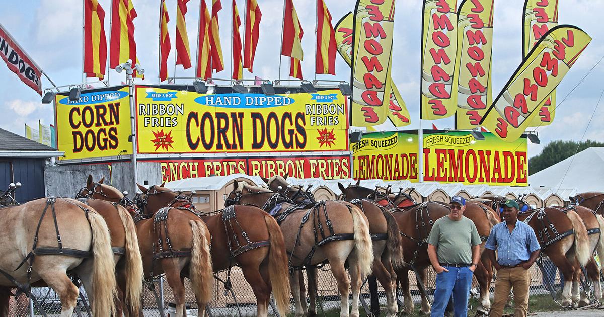 Wv State Fair Rodeo GALLERY: 98th State Fair of WV | Gallery | register-herald.com