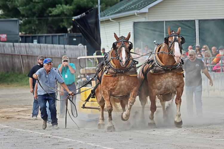Wv State Fair Rodeo GALLERY: 98th State Fair of WV | Gallery | register-herald.com