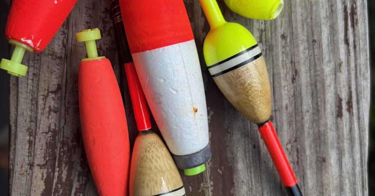 Chris Ellis: Where to go and what to fish for