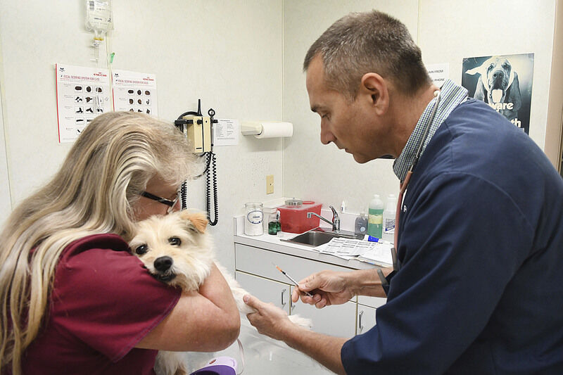 Beckley Veterinary Hospital celebrates 75 years State & Region