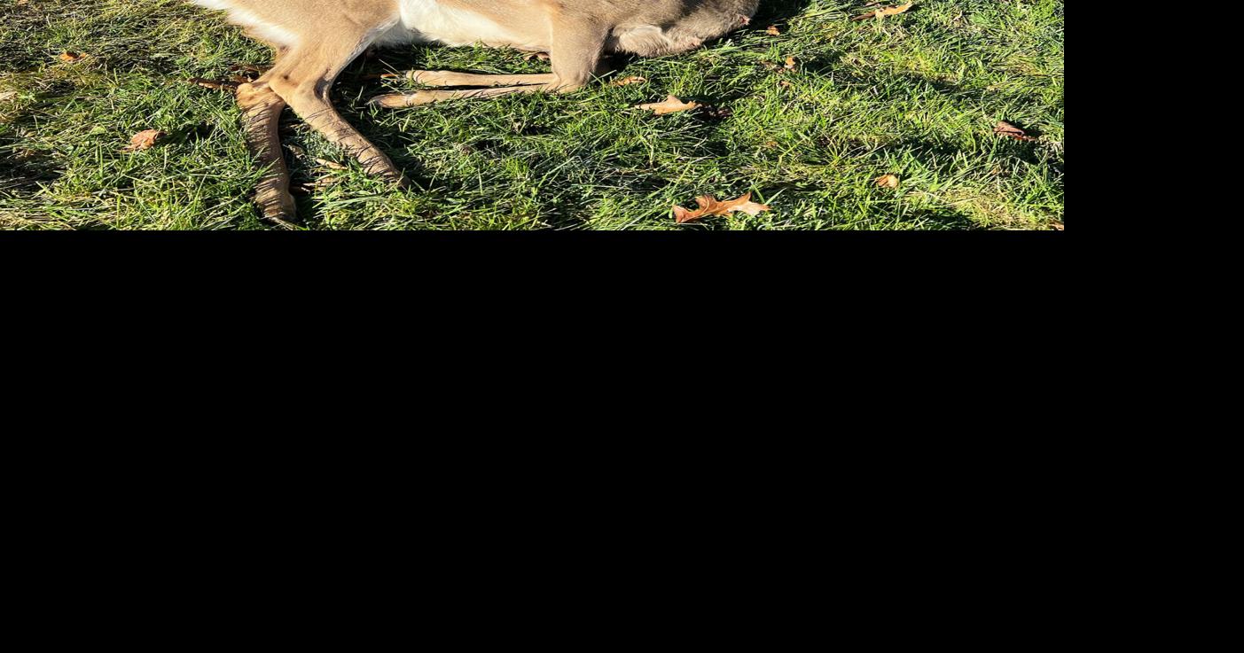 The six stages of a hunter's career | Sports | register-herald.com