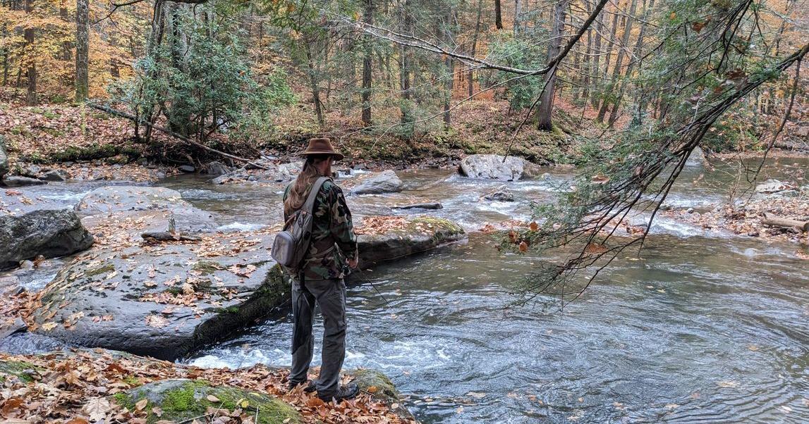 WVU student discovers widespread microplastic pollution in first-of-its-kind study of Appalachian streams and fish