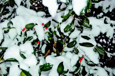 Holly Days Local News Register Herald Com