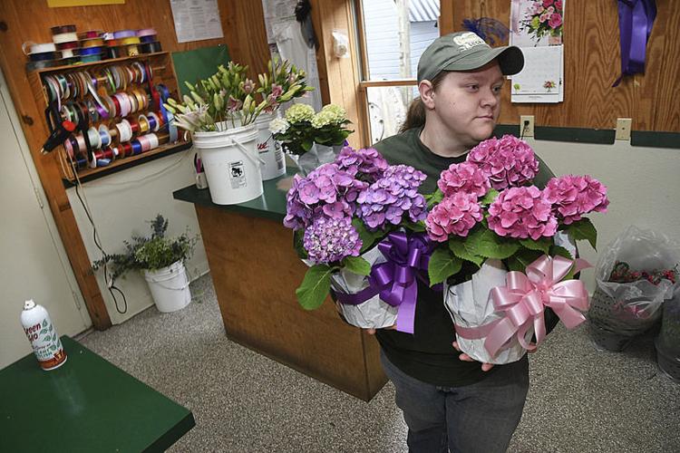 Flowers By Nancy Beckley Wv Hours Best Flower Site