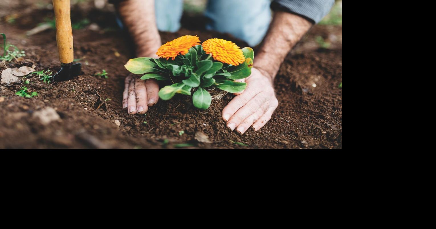 WVU Extension Master Gardeners to host annual conference in Lewisburg