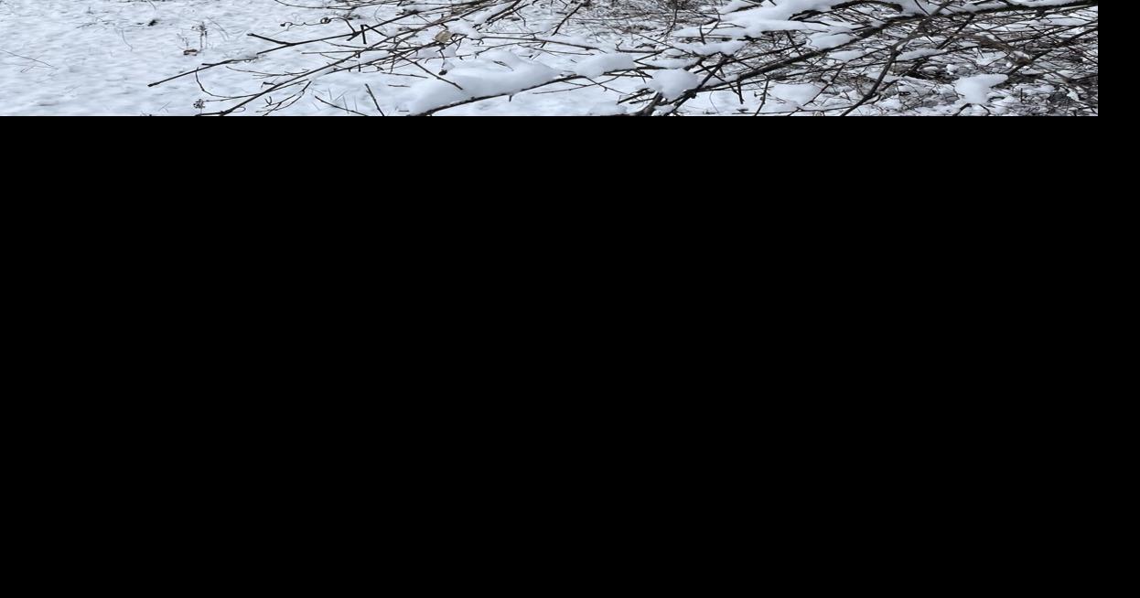 Chris Ellis: Giving thanks for nature's incredible bounties