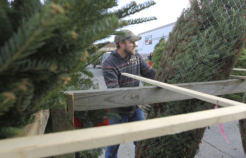 O Christmas Tree A Sentimental Feeling For That Old Fashioned Way News Register Herald Com