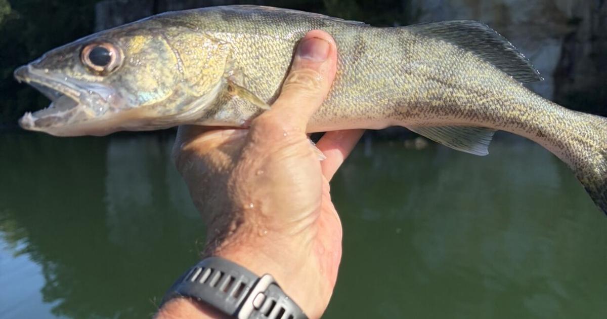 Chris Ellis: The difference between river fishing and lake fishing