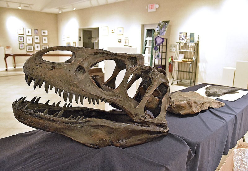 Beckley Art Gallery display to include . state fossil | News |  