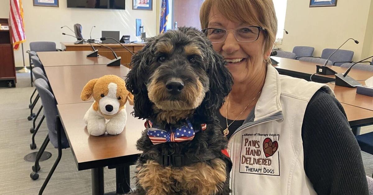Courtroom therapy dogs gain ground as advocates push expansion