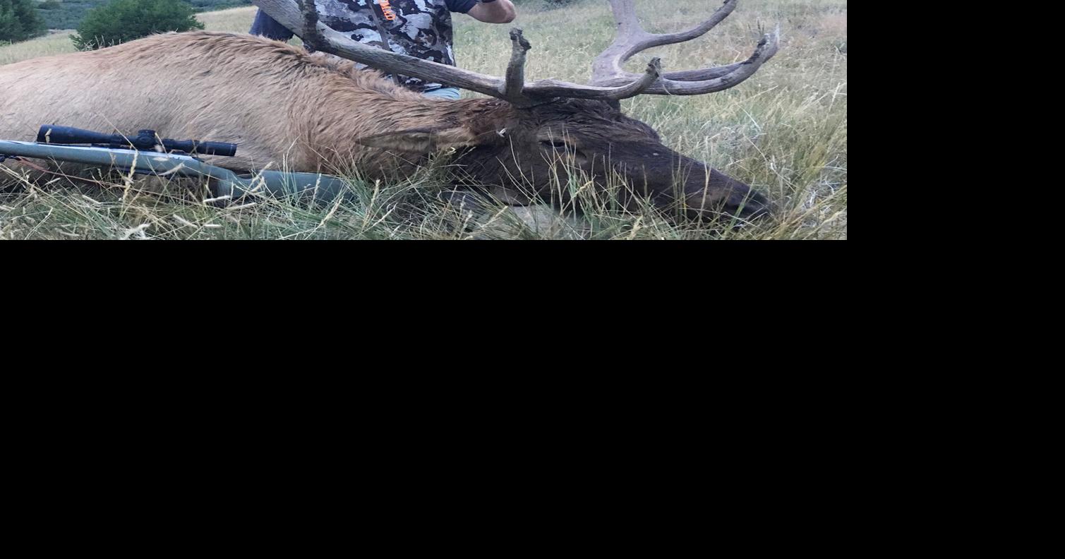 Chris Ellis: From elk hunter to successful elk hunter