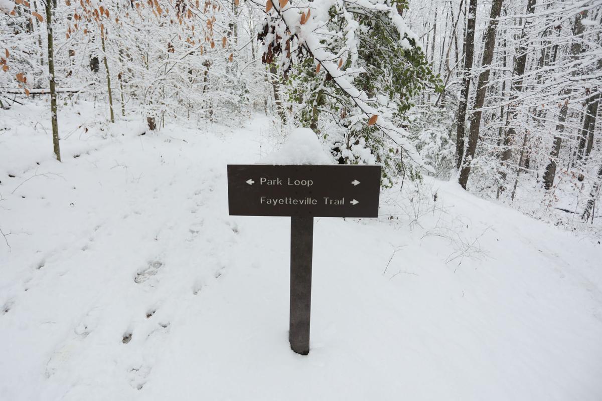 010820 FaySnow5.jpg