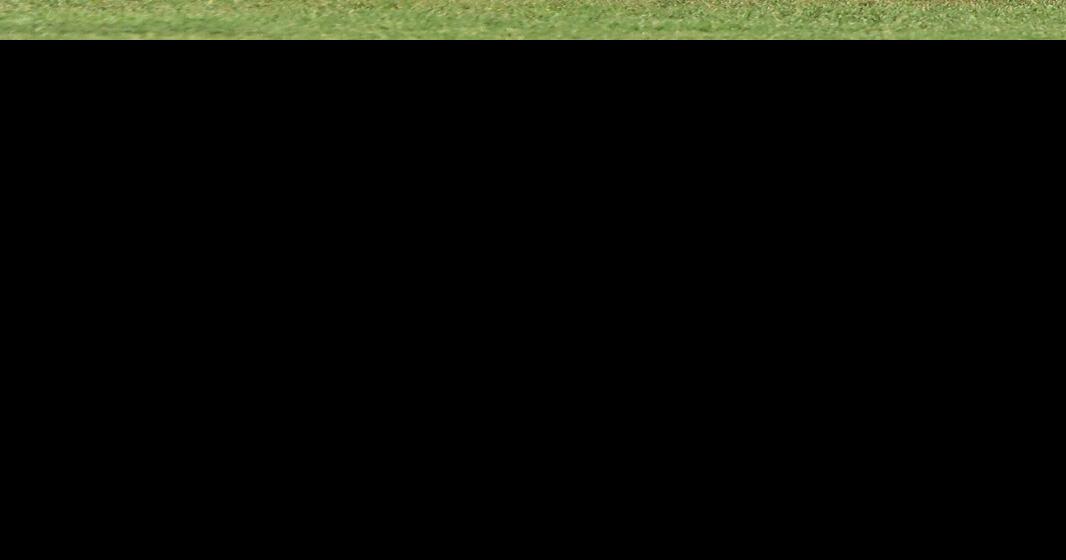 West Virginia High School Baseball AllState Class AAA Players and