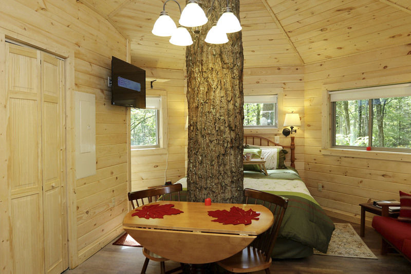 Country Roads Cabins Now Offering Bird S Eye View In Treehouse