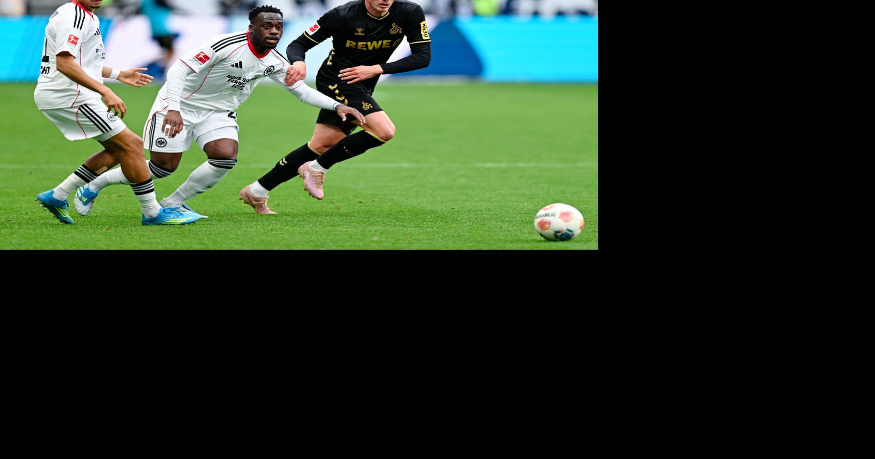 Fan dies after cardiac arrest at German Bundesliga soccer game