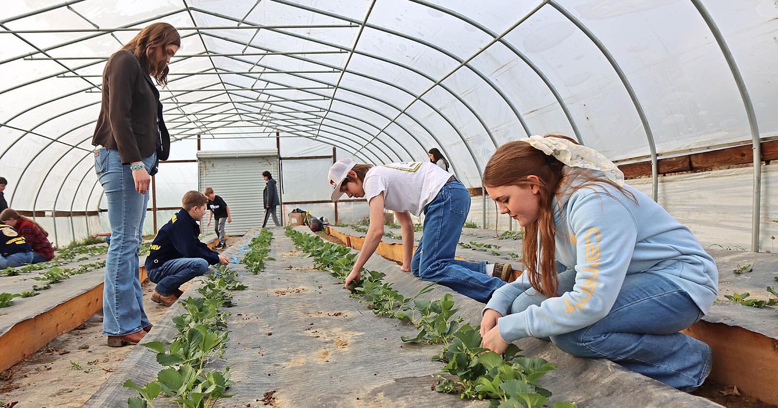 Mountain View Middle School FFA Chapter - Vimarsana News