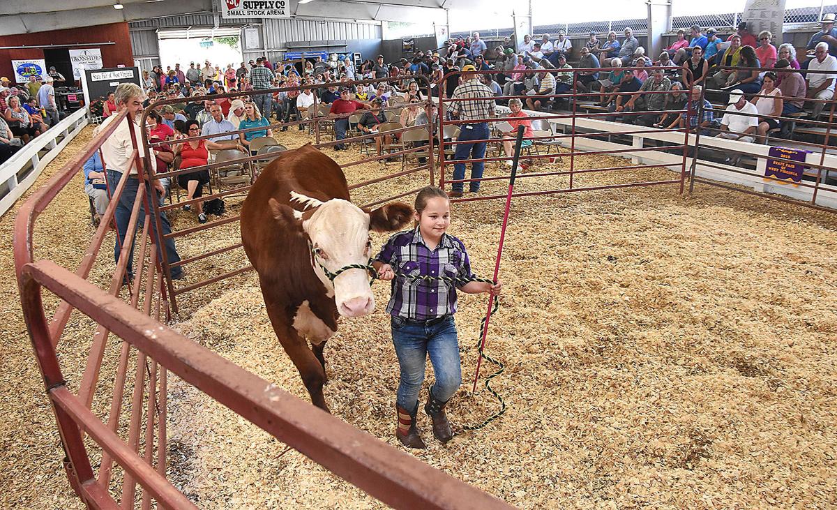 Wv State Fair Rodeo GALLERY: Images from West Virginia State Fair | Gallery | register ...