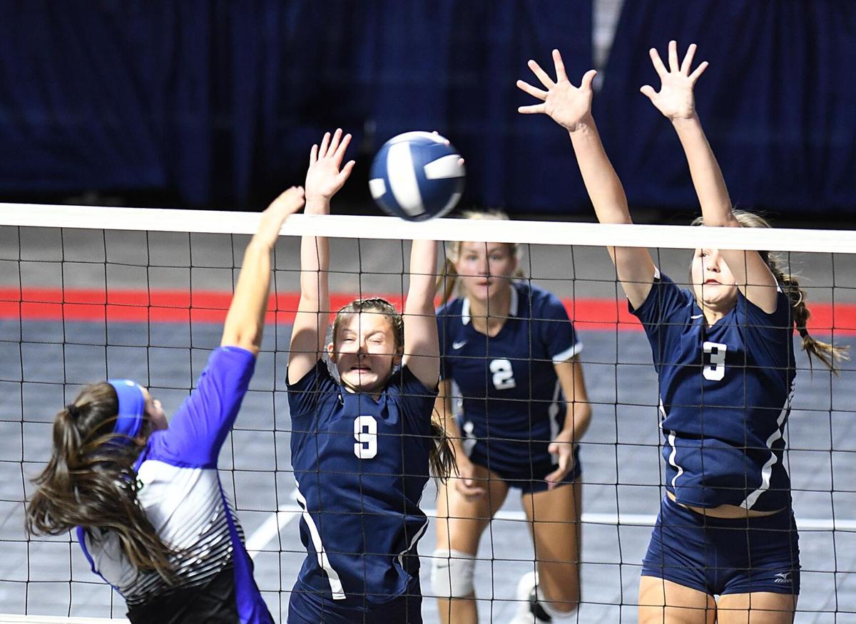 111530 Shady Volleyball 1.jpg