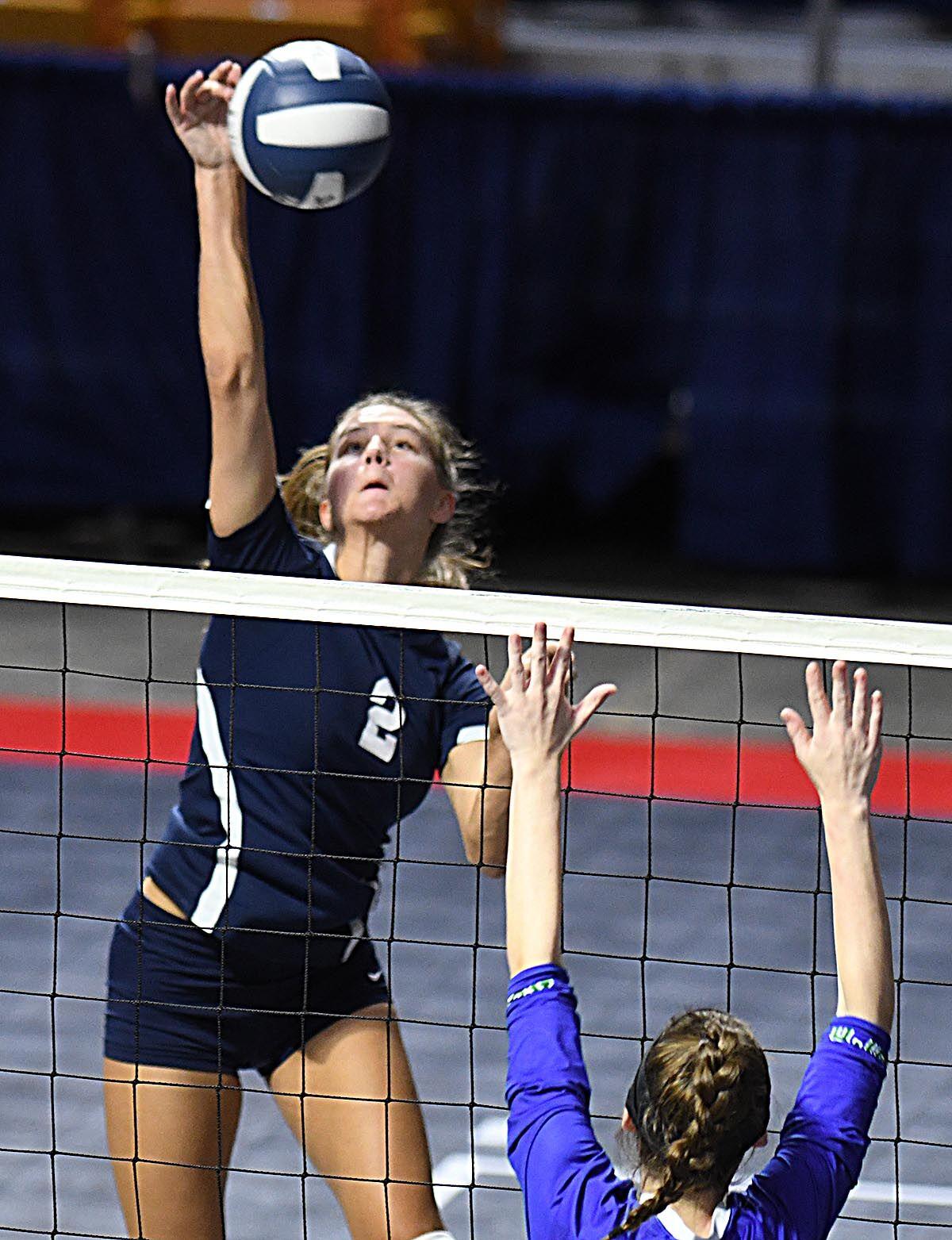111530 Shady Volleyball 2.jpg