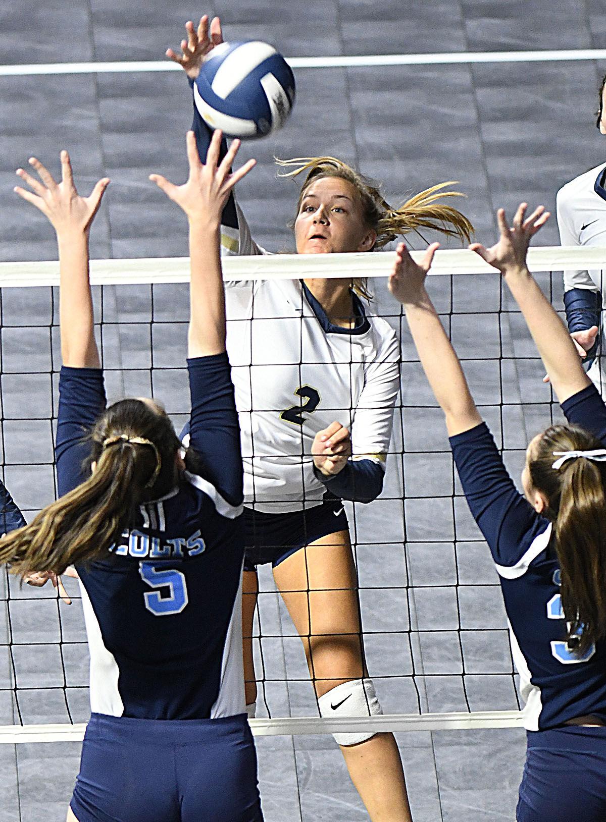 111530 Shady Volleyball 9.jpg