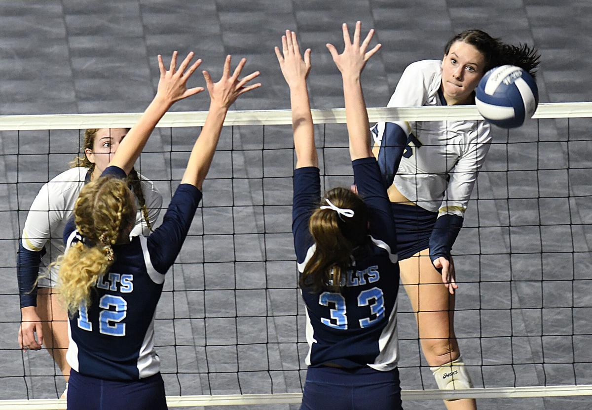 111530 Shady Volleyball 14.jpg