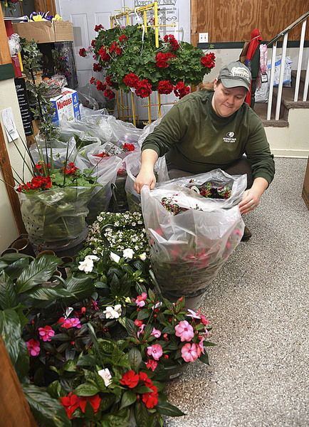 Local Flower Shop Opens Back Up Just In Time For Mother S Day Health Register Herald Com