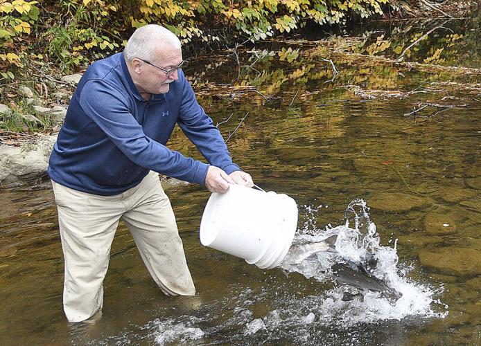 Governor launches Guyandotte River trout stockings, State & Region