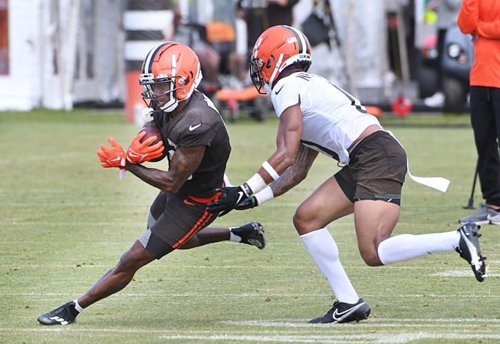 File:2022 Cleveland Browns Training Camp (52340830699).jpg - Wikimedia  Commons