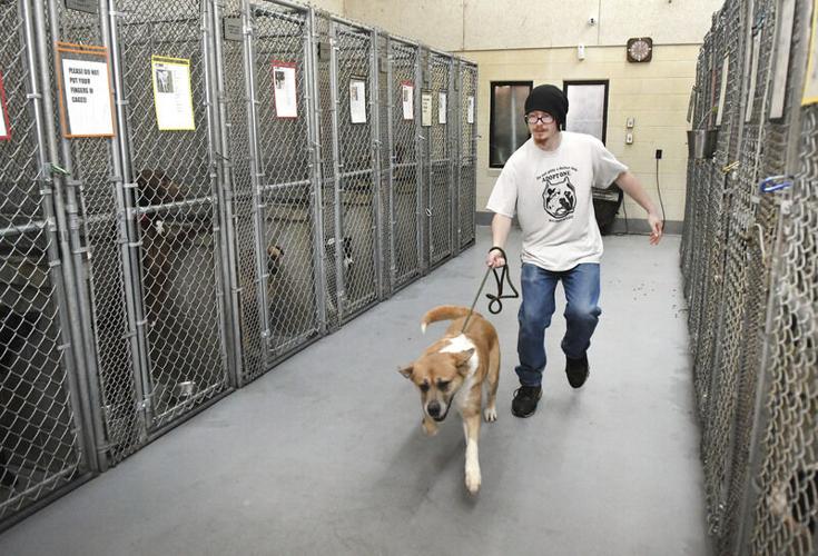 Raleigh County looking to build a larger animal shelter | State & Region |  