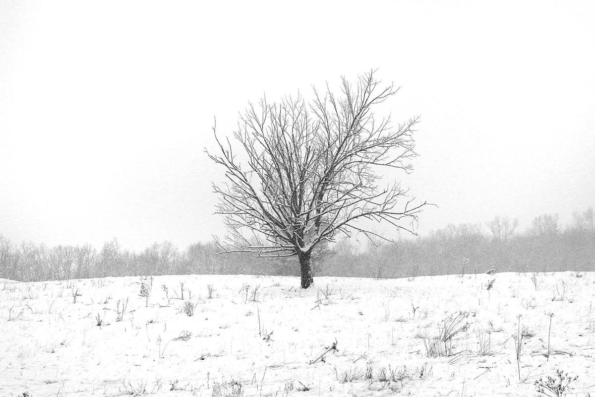 010720 snow feature 06.JPG