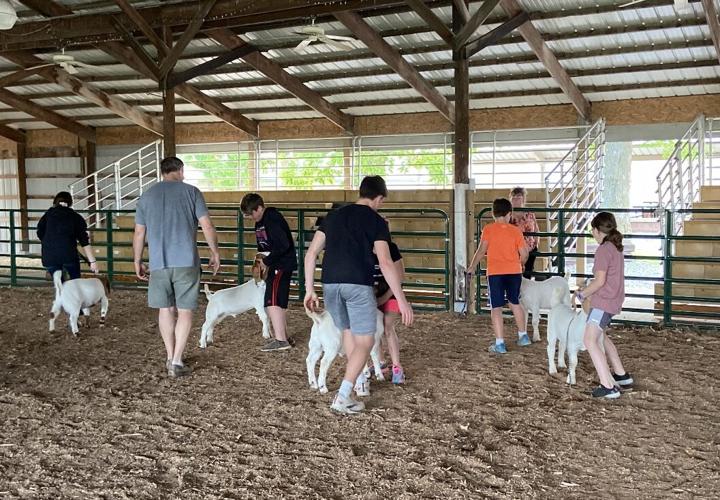 Boone County family leads the way in 4-H Meat Goat Show | Local News |  reporter.net