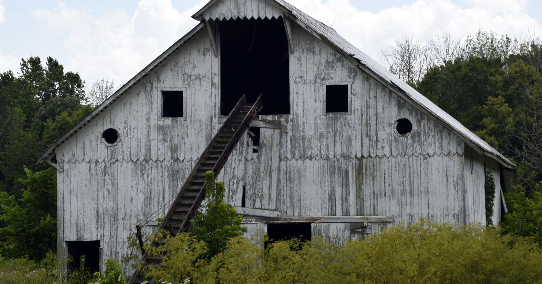 Frankfort library presents Barns and Blooms - Vimarsana News