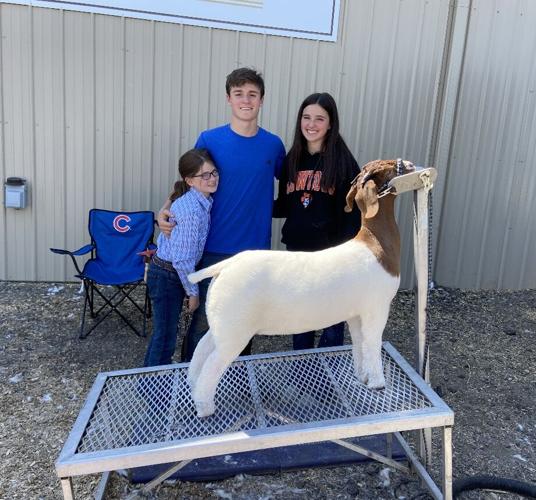 Boone County family leads the way in 4-H Meat Goat Show | Local News |  reporter.net