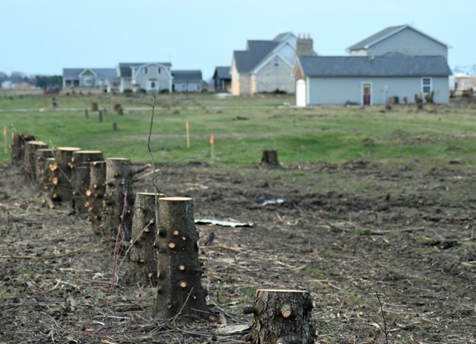 Timeline revealed for Lilly site Local News reporter net