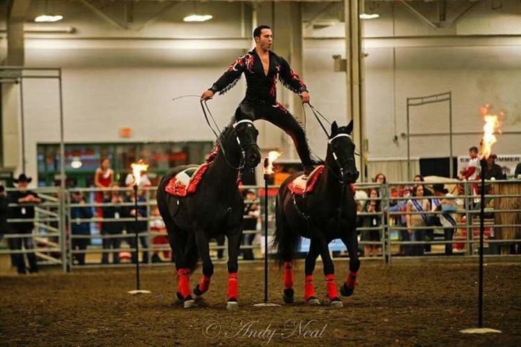 Hoosier Horse Fair and Expo comes to Hendricks County Local News