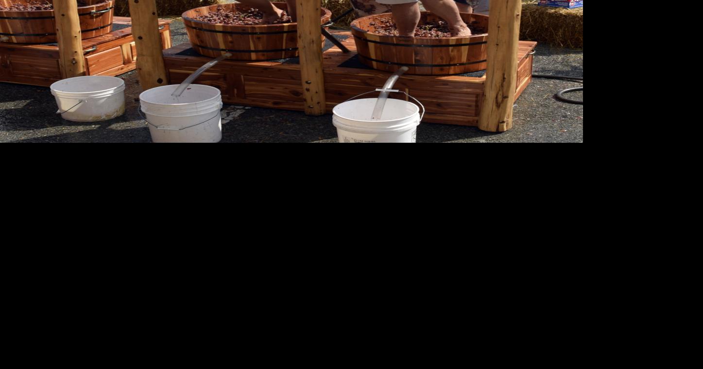 Winery celebrates customers with annual grape stomp Local News