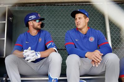 A Cubs Fan Admits: We're No Longer the Lovable Losers - The New