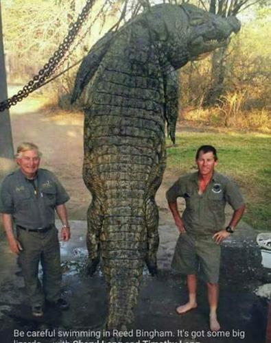 Monster South Georgia alligator exposed as hoax