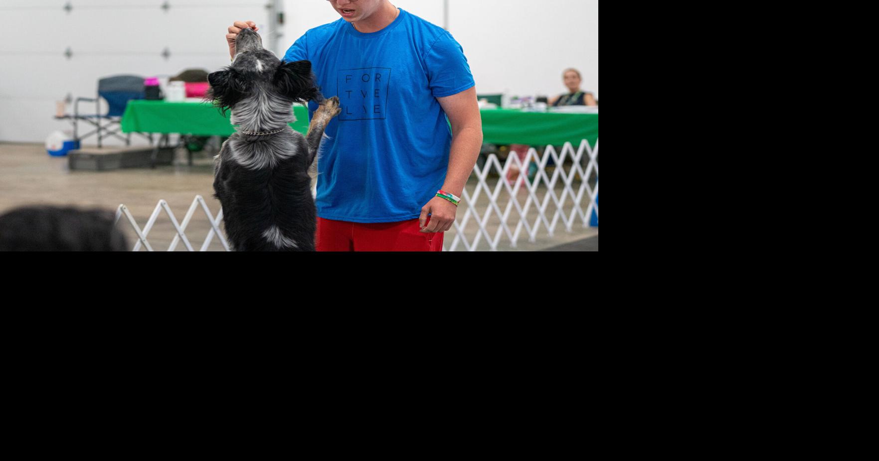 4H dog show helps owners bond with their pets News