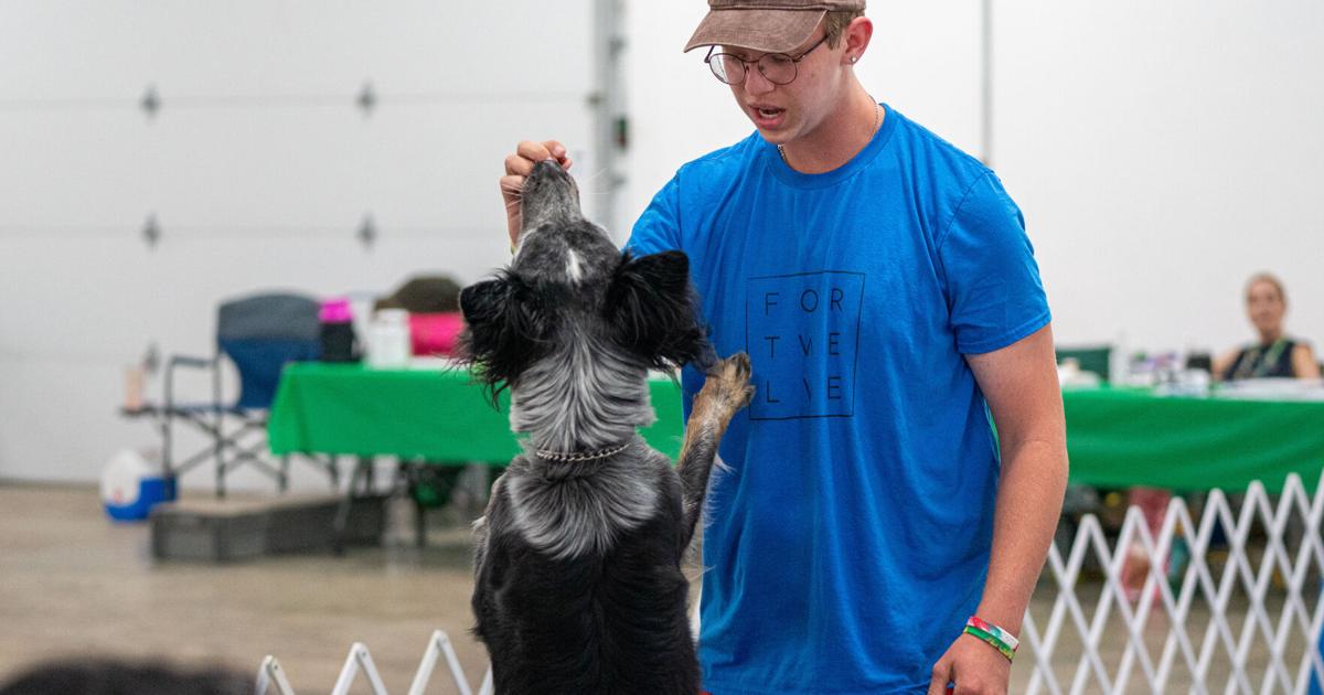 4 H Dog Show Helps Owners Bond With Their Pets News Reporter 4-h-dog-show-helps-owners-bond-with-their-pets-news-reporter