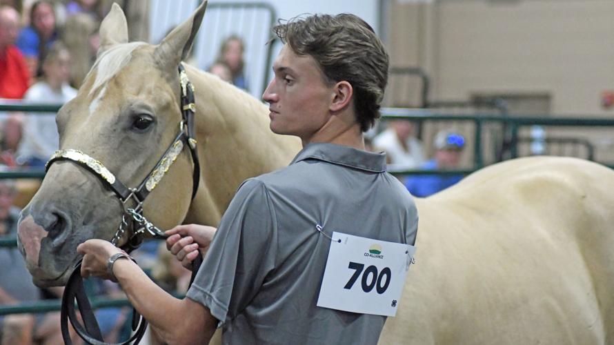 Animals and children galore at the Boone County 4-H Fair | Local News ...