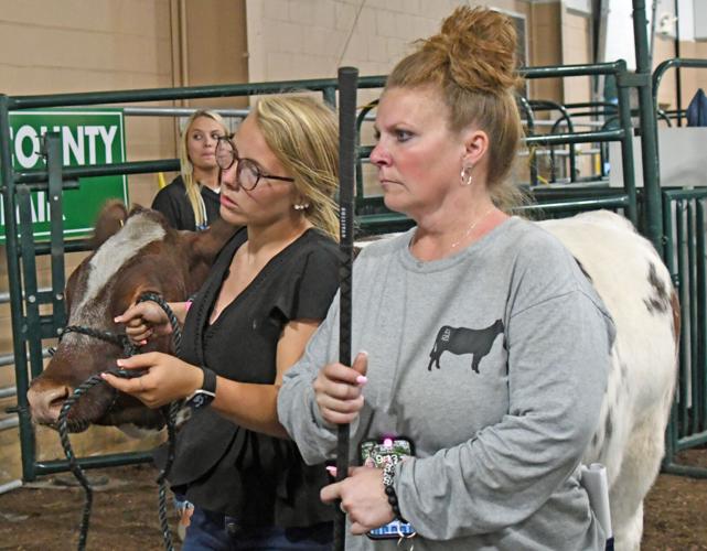 A slide show of the 2023 Boone County 4H Fair Livestock Auction