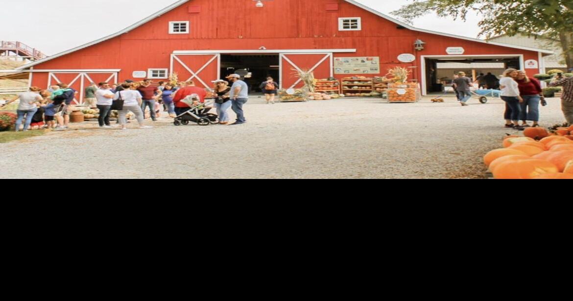 The Orchard Careers Interview, Salaries, and More Blind